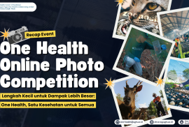 Photo competition